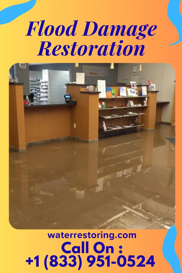 Flood Damage Restoration in Galveston, TX